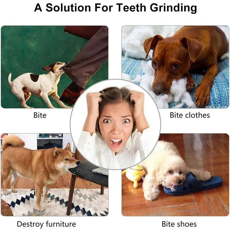 Dog Treat Feeder Ball