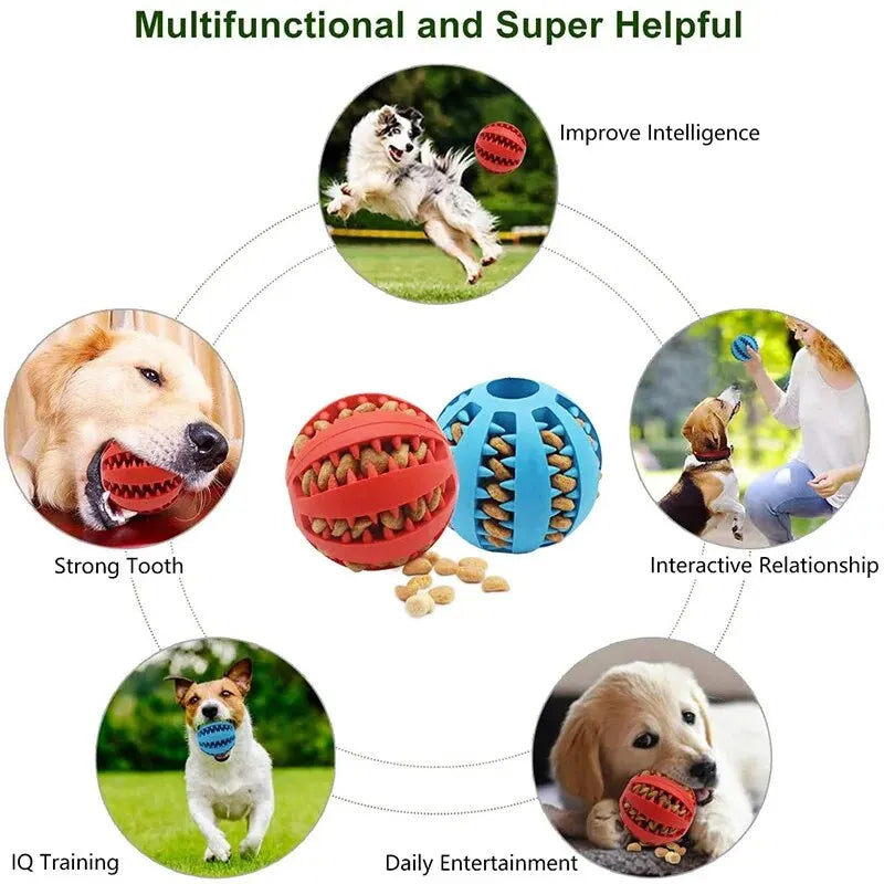 Dog Treat Feeder Ball